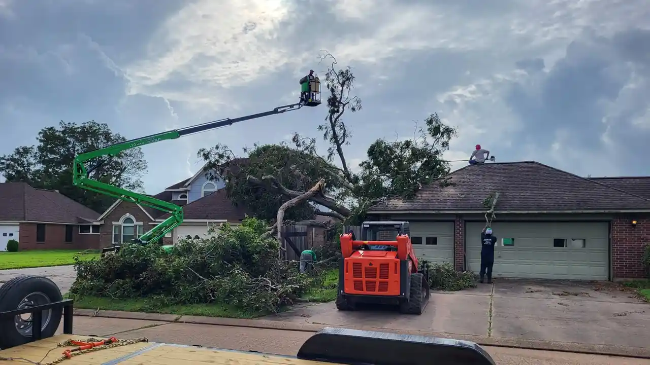 Lester's green spider lift with a climber in the basket over a storm-broken tree, a track loader in the driveway