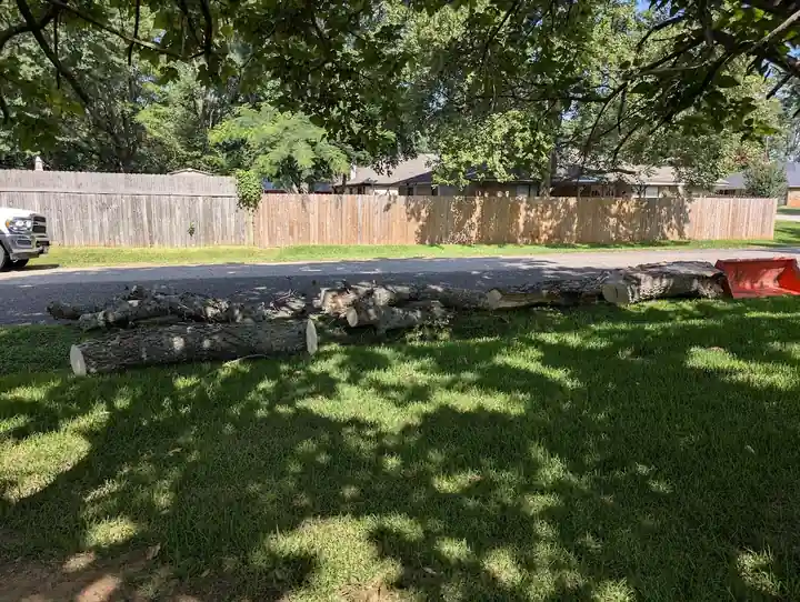 Cut logs laid out on a lawn beside a wood fence after a tree was taken down