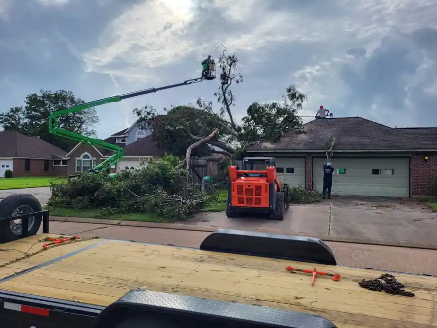 A green tracked spider lift with a climber in the basket working over a broken tree on a roof, with an orange track loader parked in the driveway