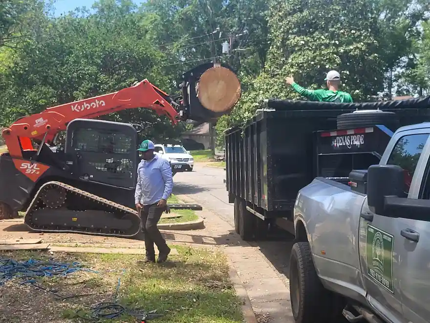 A Kubota track loader lifting a whole trunk round in its grapple into a dump trailer