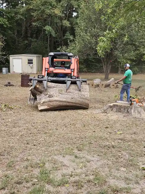 An orange track loader holding a log in its grapple beside a fresh stump